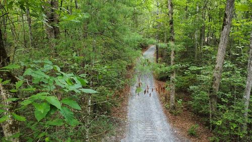 00 Toccoa Ave, mineral bluff, GA, 30559 | Card Image