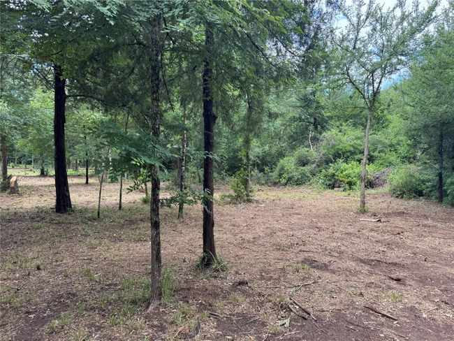 View of wooded area | Image 13