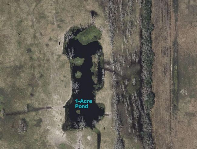 1-acre Pond | Image 36