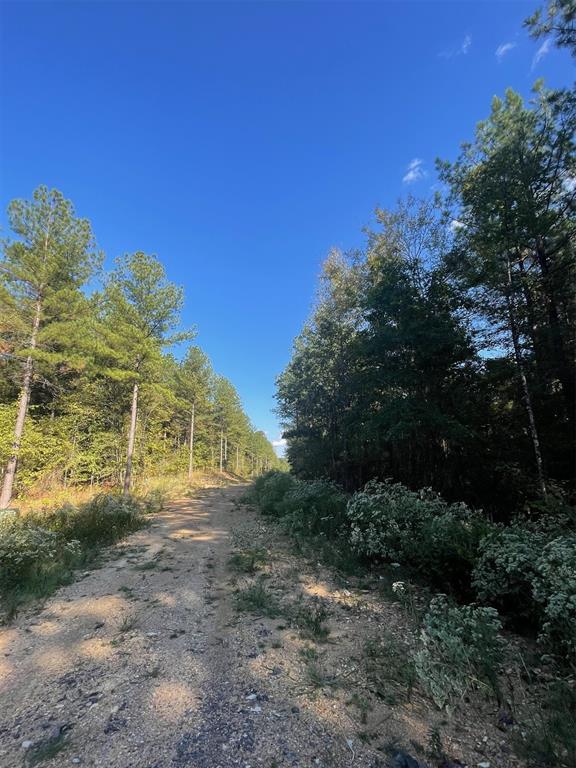 Land in Broken Bow 5