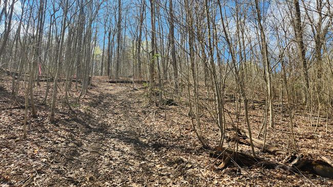 TRACT-1-PIKE-LAKE-GETAWA - 0 Pike Lake Rd, Home with 0 bedrooms, 0 bathrooms and null parking in Bainbridge OH | Image 22