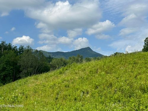 0 Barnes Hollow Rd, Cosby, TN, 37722 | Card Image