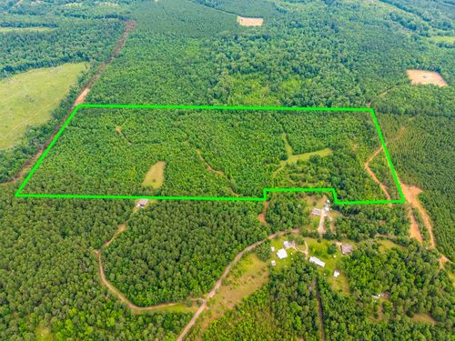 3536 Cr 1579, Avinger, TX, 75630 | Card Image