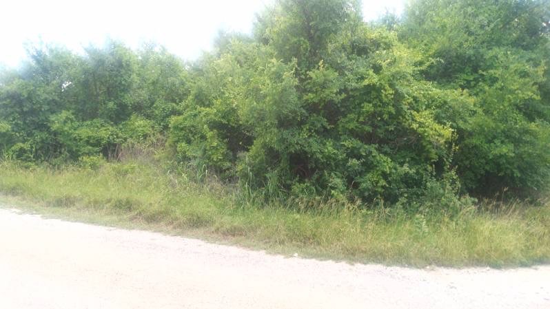 Land in Granbury 4