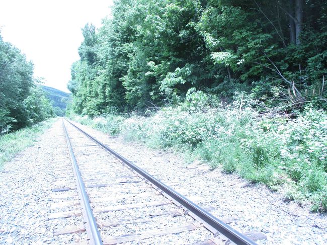 0 Vt Route 12 A, Home with 0 bedrooms, 0 bathrooms and null parking in Randolph VT | Image 4