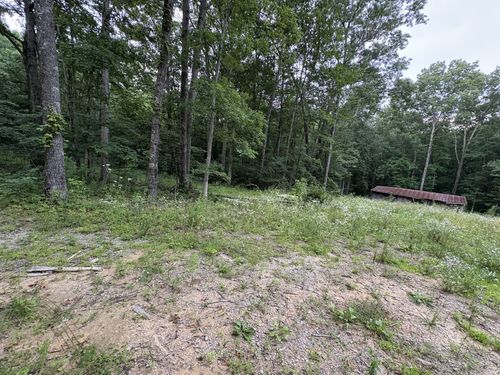 1117 Deer Run Rd, Altamont, TN, 37301 | Card Image