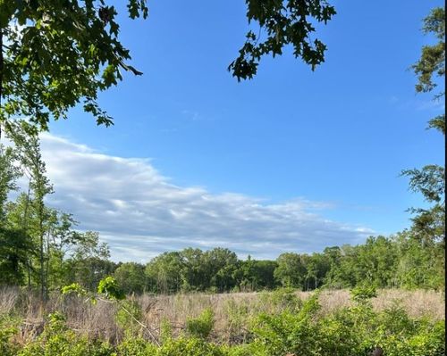 00 Hutchins Rd, Grand Cane, LA, 71032 | Card Image