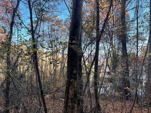 Lot 51J Indian Trl, Hayesville, NC, 28904 | Card Image