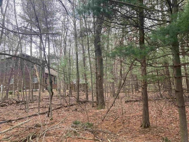 252 Berry Ln, Home with 0 bedrooms, 0 bathrooms and null parking in Wisconsin Dells WI | Image 21