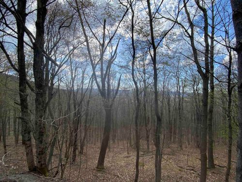 lot-31-31 Mountainside Road, Davis, WV, 26260 | Card Image