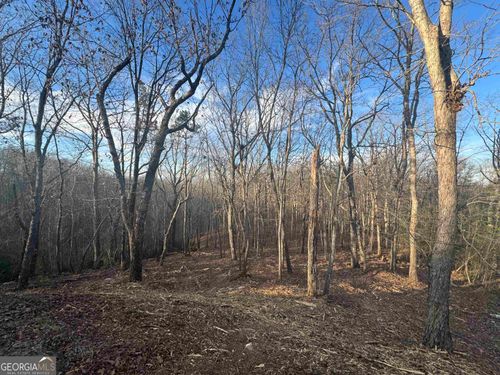 lot 57 Teel Mtn Drive, Cleveland, GA, 30528 | Card Image