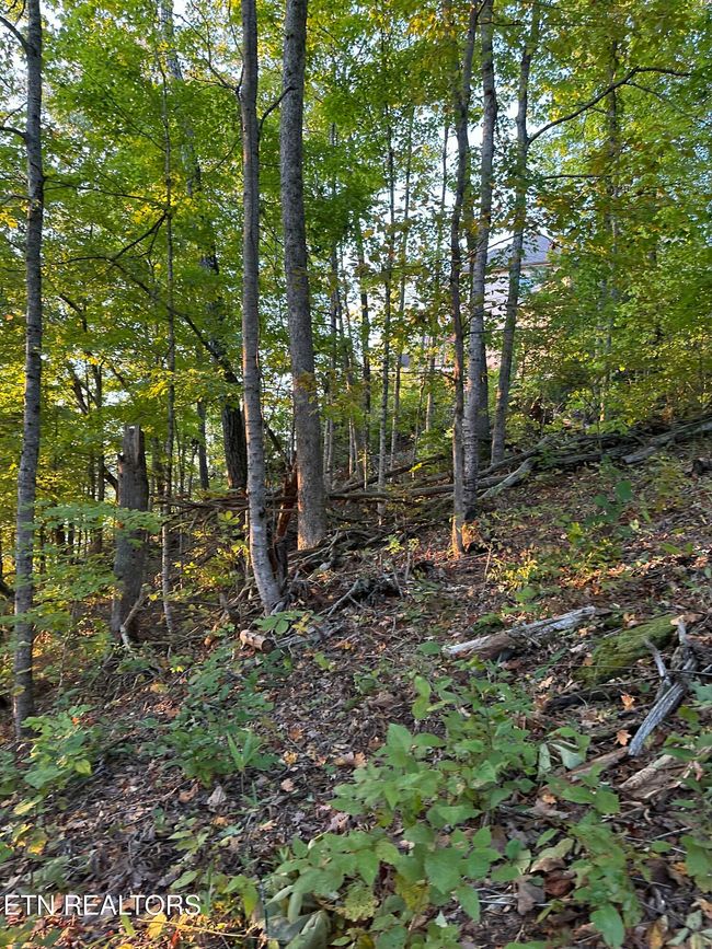 778 Russell Bros Rd, Home with 0 bedrooms, 0 bathrooms and null parking in Sharps Chapel TN | Image 18