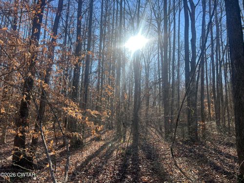 0 Excalibur Trl, Cedar Grove, TN, 38321 | Card Image