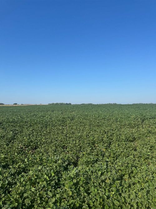 0 N 210th Rd, Bennington, KS, 67422 | Card Image