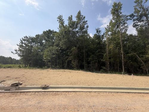 Lot 11 Honeydo Court, Smiths Station, AL, 36877 | Card Image