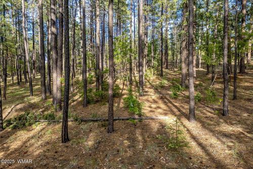 15 County Road 2083, Alpine, AZ, 85920 | Card Image