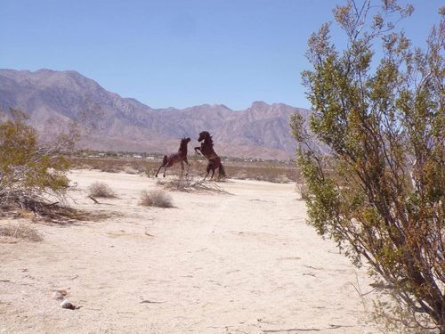 0 Borrego Valley Rd, Borrego Springs, CA, 92004 | Card Image