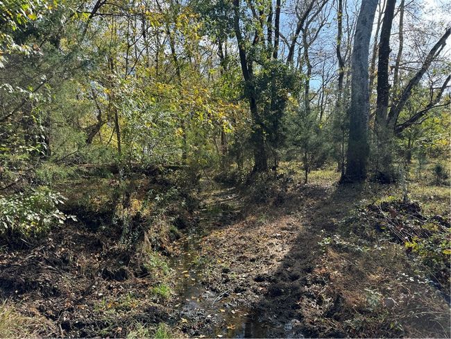 1 Seneca Street Ext, Home with 0 bedrooms, 0 bathrooms and null parking in Calhoun Falls SC | Image 16