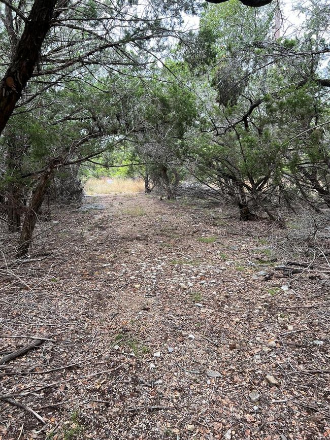 29 - 396 High Forest Dr, Home with 0 bedrooms, 0 bathrooms and null parking in Blanco TX | Image 5
