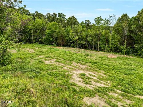 0 Ostrich Ln, Rutledge, TN, 37861 | Card Image