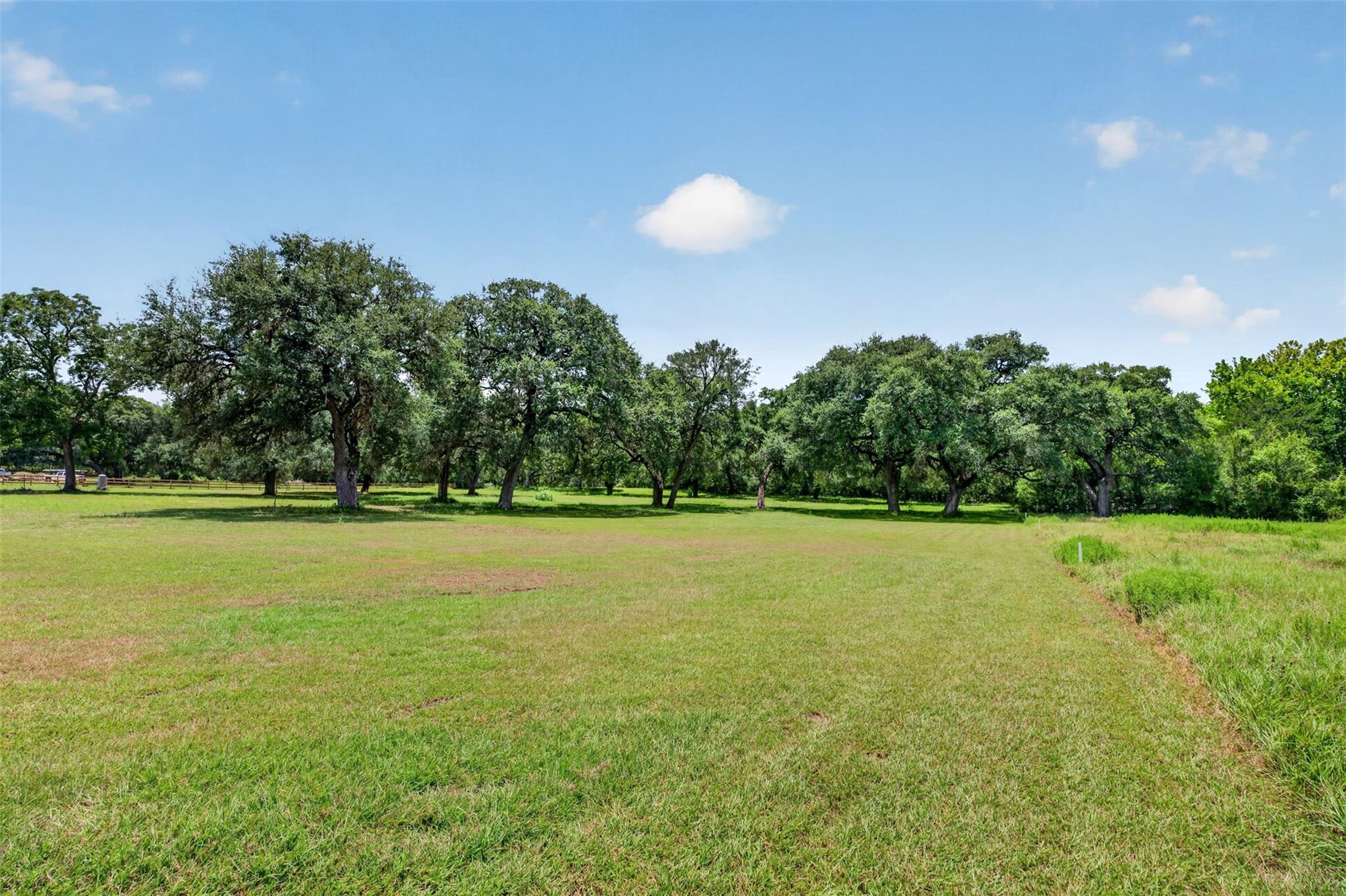 Farm in Brenham 3
