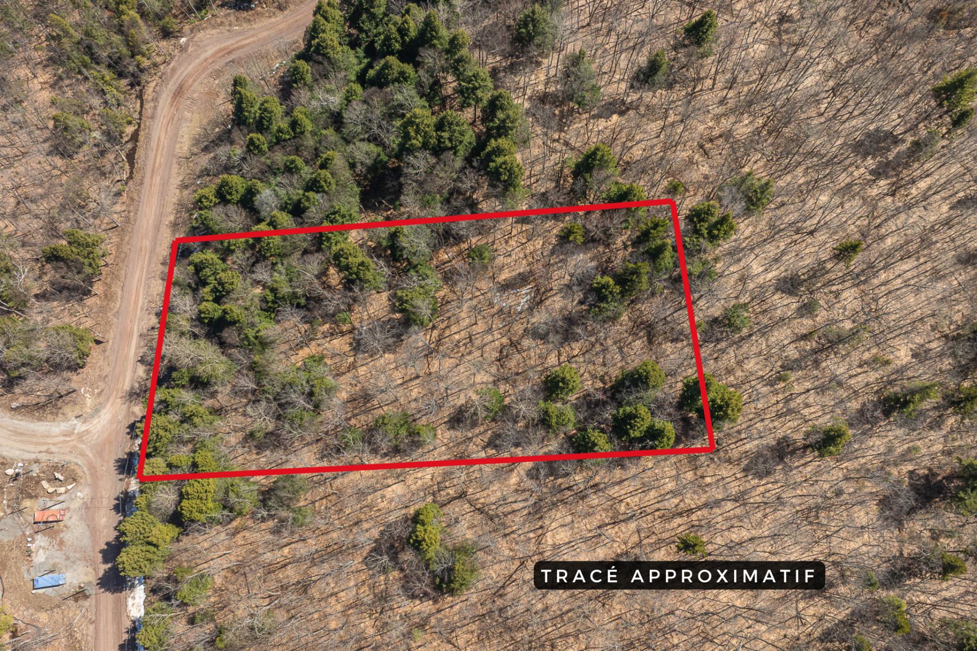 Land in Brownsburg-Chatham 3