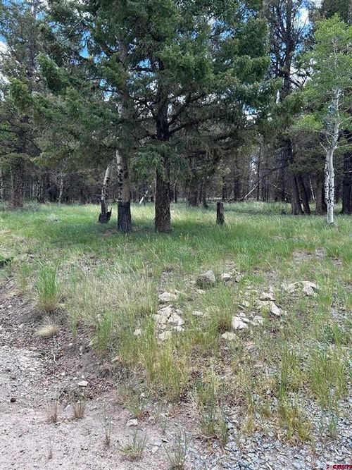522 Monarch Rd, Powderhorn, CO, 81243 | Card Image