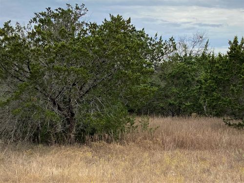 36064 Cedar Ridge Drive, Whitney, TX, 76692 | Card Image