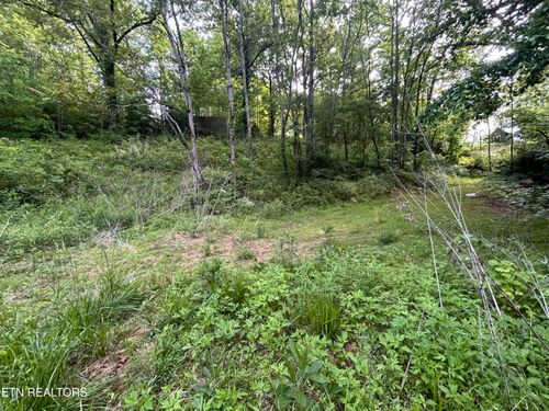 Lot 32 Ernie Roberts Rd, Rutledge, TN, 37861 | Card Image