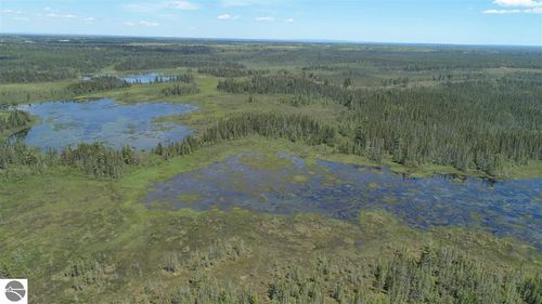 320 Acres S Aho Rd, Rudyard, MI, 49780 | Card Image