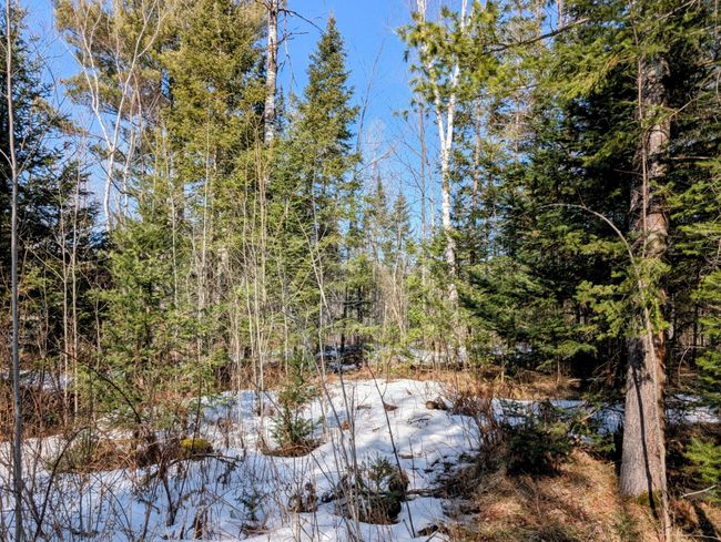 N12912 State Highway 13, House other with 2 bedrooms, 1 bathrooms and null parking in Fifield WI | Image 31