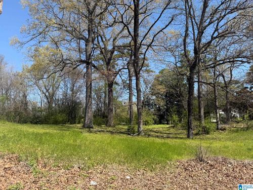 1-5251 7th Ave, BIRMINGHAM, AL, 35224 | Card Image