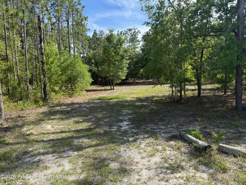 LOT 4 Schick Avenue, Weeki Wachee, FL, 34614 | Card Image