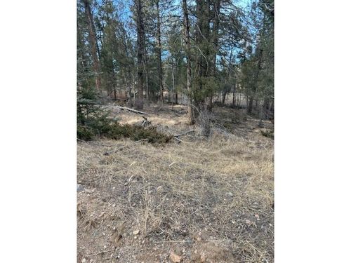 12887 S Cindy Ave, Pine, CO, 80470 | Card Image