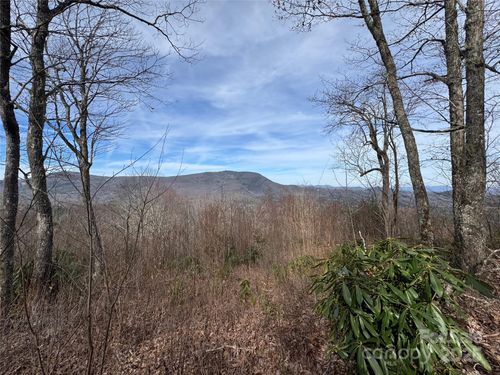 L3 Windy Gap Ln, Sapphire, NC, 28774 | Card Image