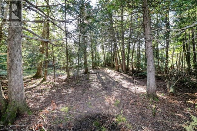 98 Steven St, Home with 0 bedrooms, 0 bathrooms and null parking in Gore Bay ON | Image 26