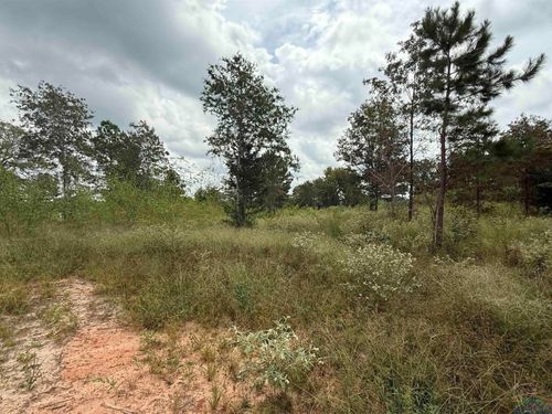 8396 County Road 4201d, Henderson, TX, 75654-9007 | Card Image
