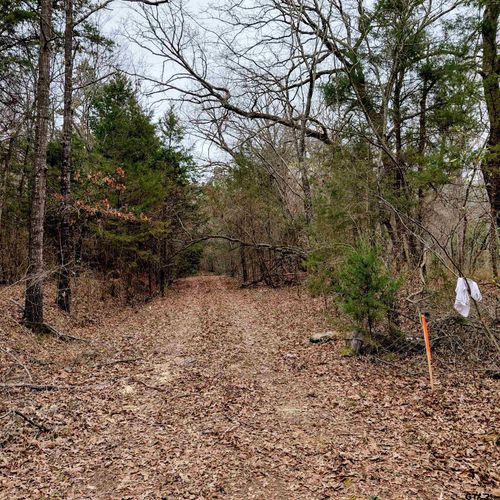 TBD C R 4314, Dekalb, TX, 75559 | Card Image