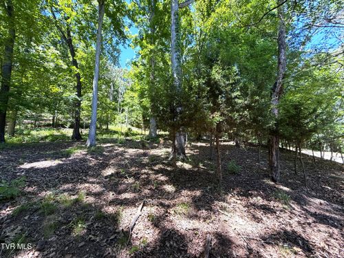 214-0 Harbor View, Mooresburg, TN, 37811 | Card Image