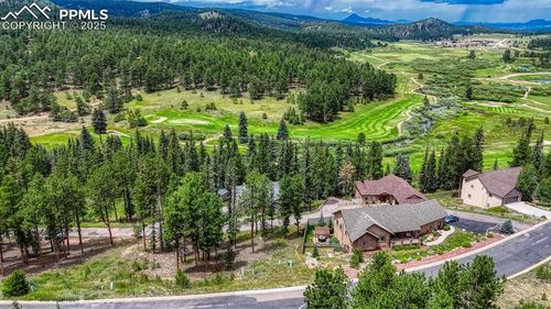 215 Iron Eagle Pt, Woodland Park, CO, 80863-7442 | Card Image