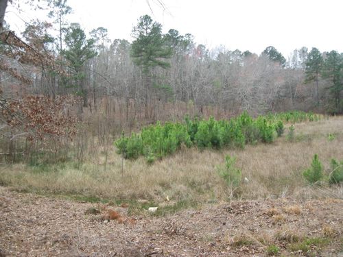 0 Willow Springs Rd, Little Rock, AR, 72206 | Card Image