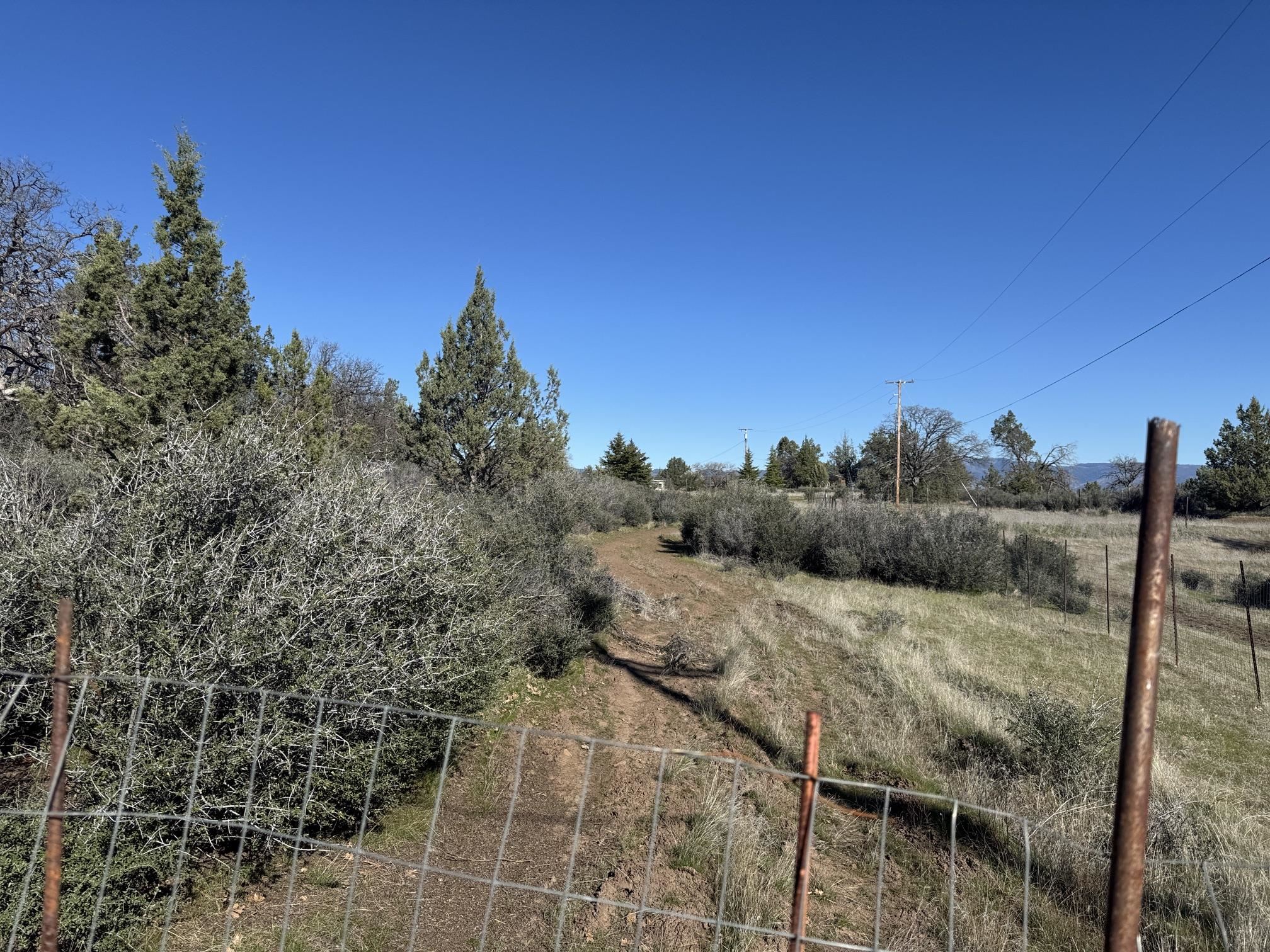 Land in Hornbrook 2