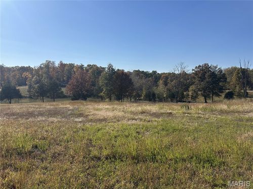 286 Old Wagon Trl, Jackson, MO, 63755 | Card Image