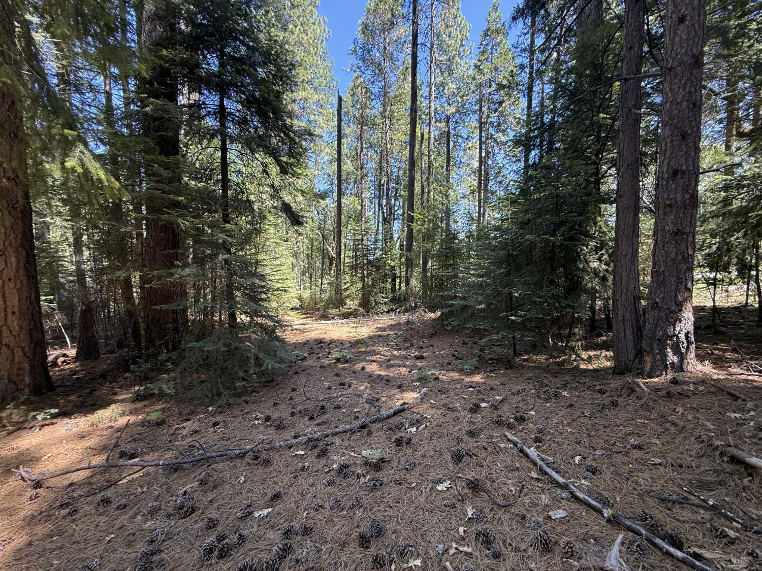 Land in Nevada City 3