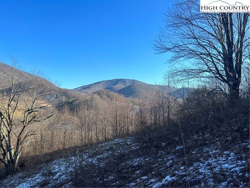 8173 Old Us Highway 421, Zionville, NC, 28698-9335 | Card Image