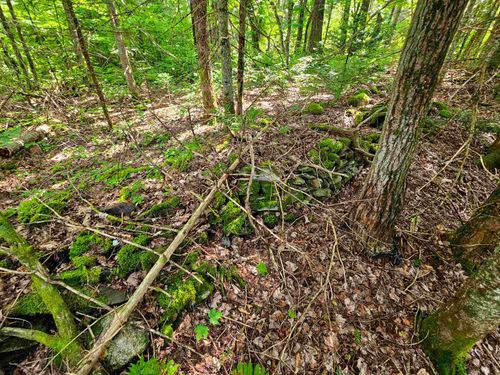 1746 Urban Farm Way, Cabot, VT, 05647-4428 | Card Image