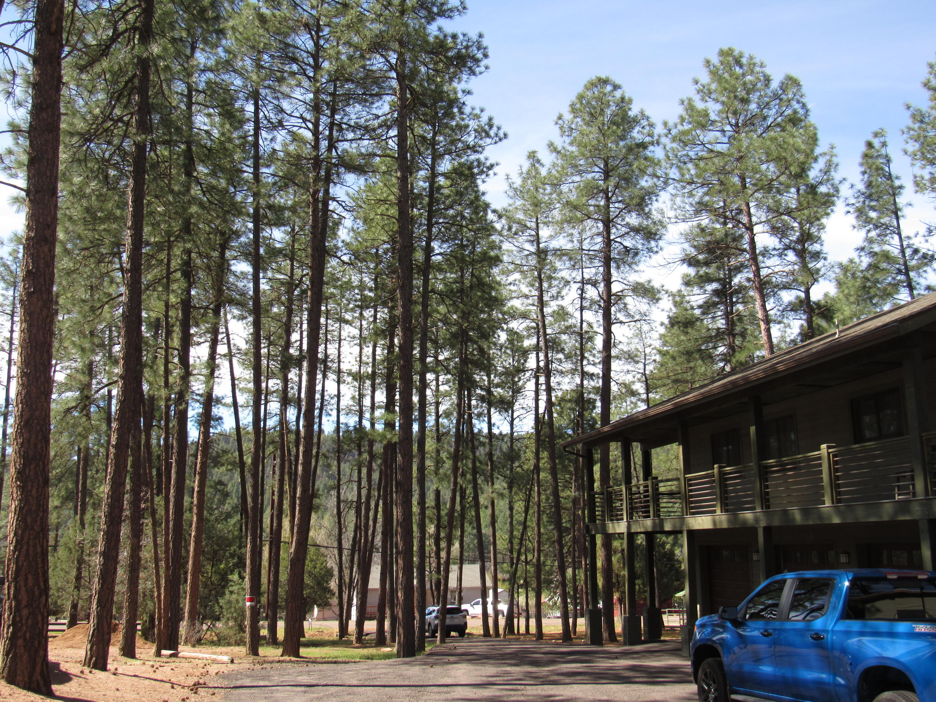 Residential in Strawberry 3