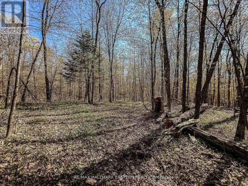 2494 Hadlington Road, Highlands East (Monmouth), ON, K0L3K0 | Card Image