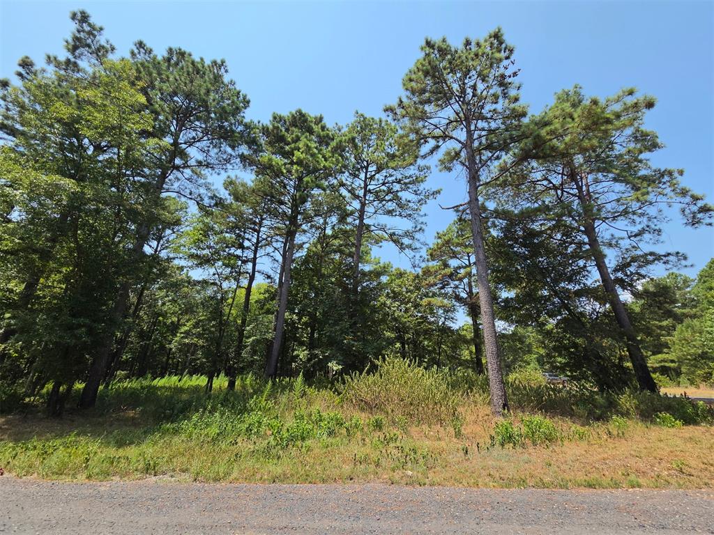Land in Broken Bow 3