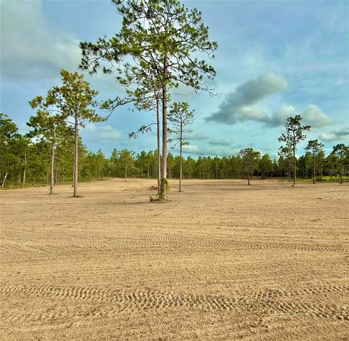 TBD Se 60th St, MORRISTON, FL, 32668 | Card Image